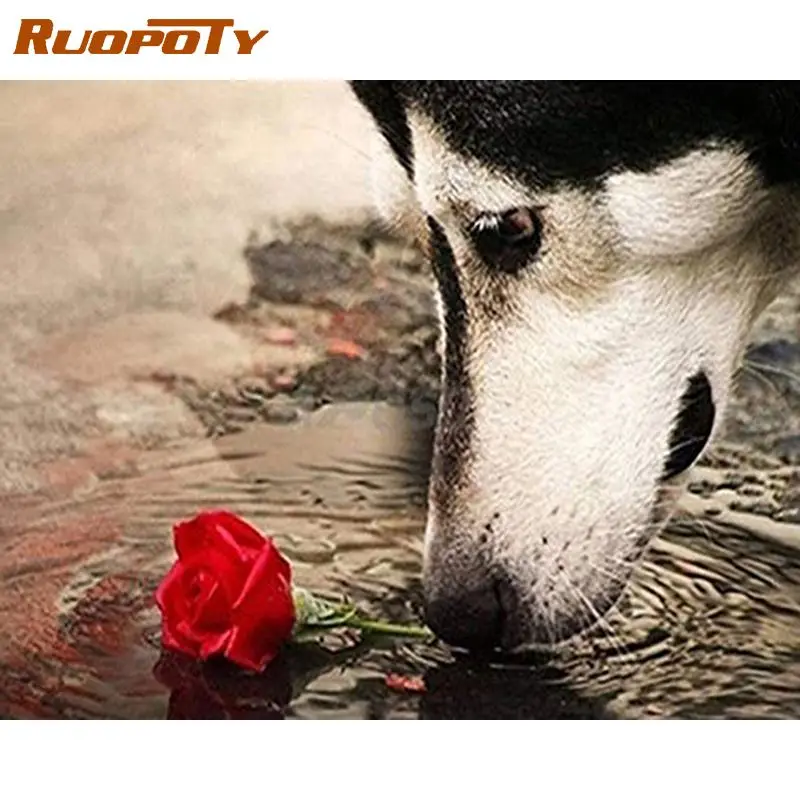 RUOPOTY DIY Diamond Painting Dog Diamond Embroidery Full Set Flower Mosaic With Square Rhinestones Picture Home Decoration
RUOPOTY DIY Diamond Painting Dog Diamond Embroidery Full Set Flower Mosaic With Square Rhinestones Picture Home Decoration