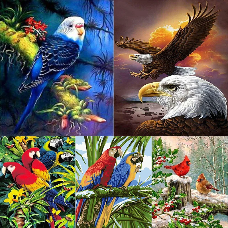 Animal bird DIY Diamond Painting "Animal red bird folower " Full Diamond Embroidery Cross Stitch Rhinestone Mosaic Painting
Animal bird DIY Diamond Painting "Animal red bird folower " Full Diamond Embroidery Cross Stitch Rhinestone Mosaic Painting