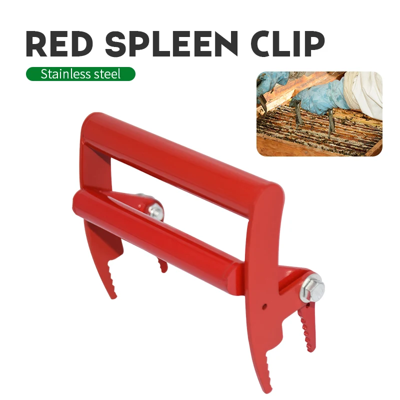 Beekeeping Frame red Grip Holder Lift Gripper Tool Beekeeping Equipment Bee Hive Frame Tool Beekeeper Tool Capture Grip
Beekeeping Frame red Grip Holder Lift Gripper Tool Beekeeping Equipment Bee Hive Frame Tool Beekeeper Tool Capture Grip