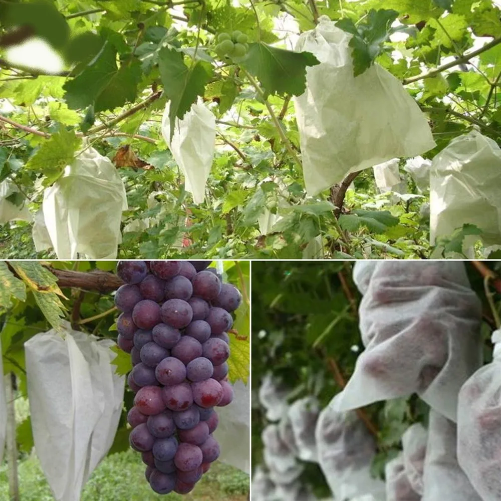 Grape Bag Non Woven Fabric Protector For Bird Bees Insect Film For Fruit Grape Pest Control Organic Fruit Plant Cover Bag
Grape Bag Non Woven Fabric Protector For Bird Bees Insect Film For Fruit Grape Pest Control Organic Fruit Plant Cover Bag