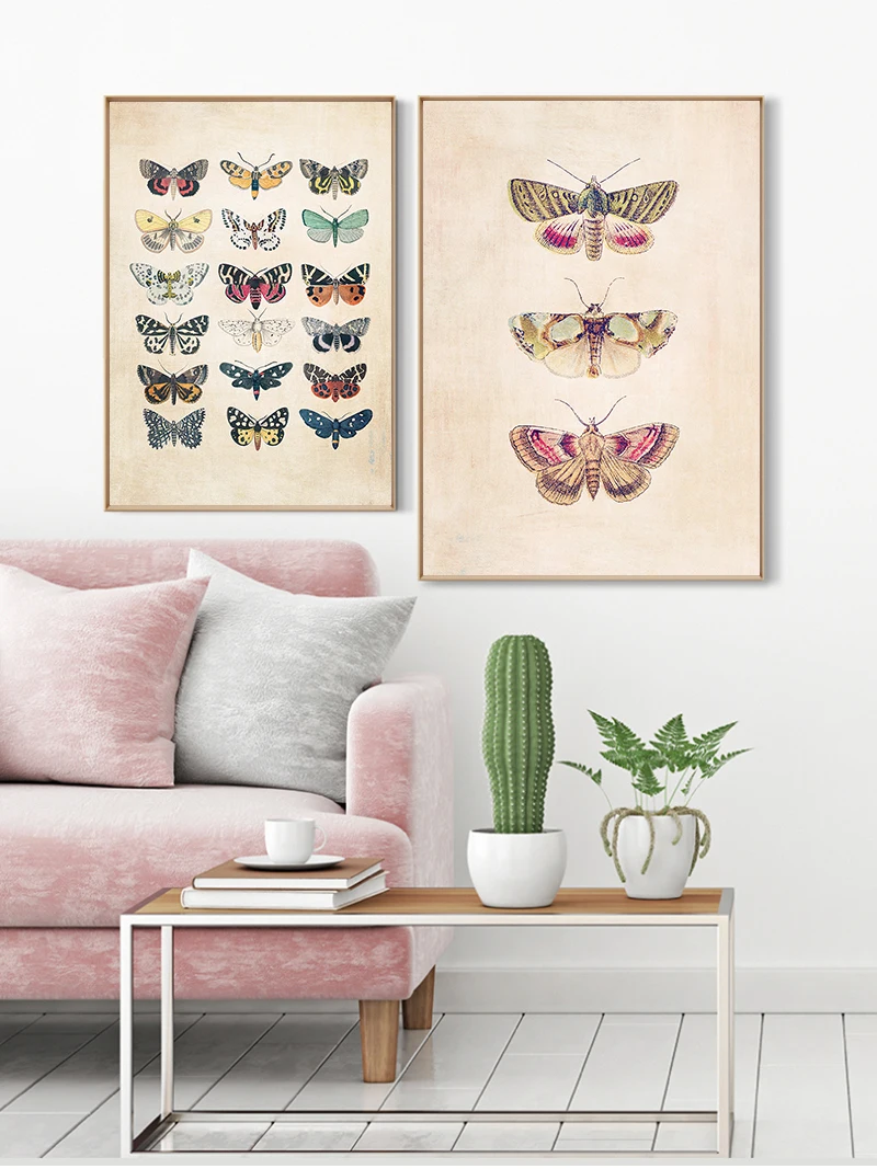 Vintage Butterfly Prints Insect Nature Kids Education Poster Nursery Wall Art Pictures Canvas Painting Children Room Decoration
Vintage Butterfly Prints Insect Nature Kids Education Poster Nursery Wall Art Pictures Canvas Painting Children Room Decoration