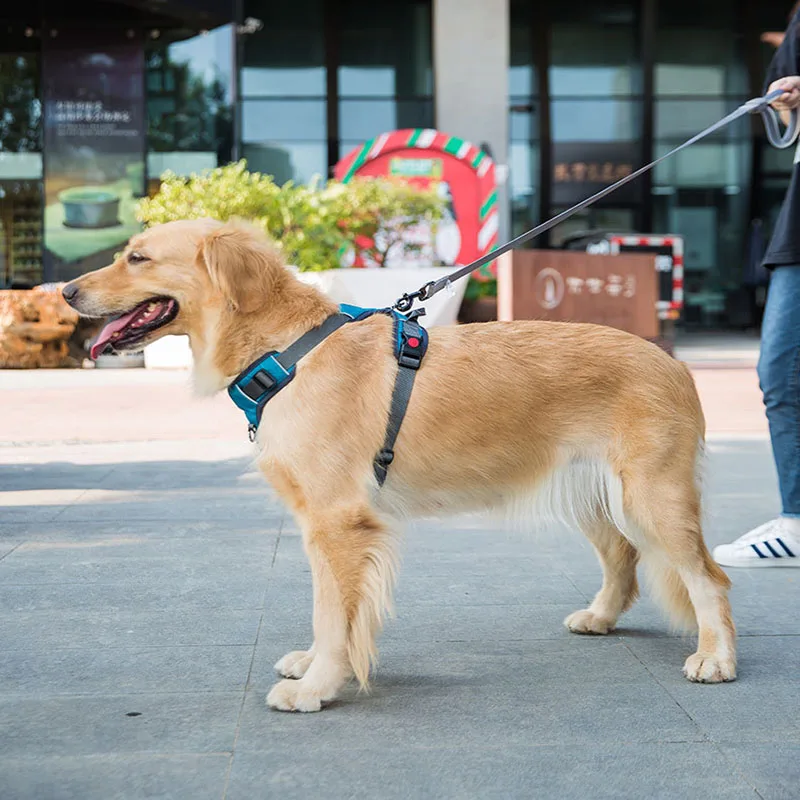 Dog leash vest-style chest harness for medium and large dogs pet supplies
Dog leash vest-style chest harness for medium and large dogs pet supplies