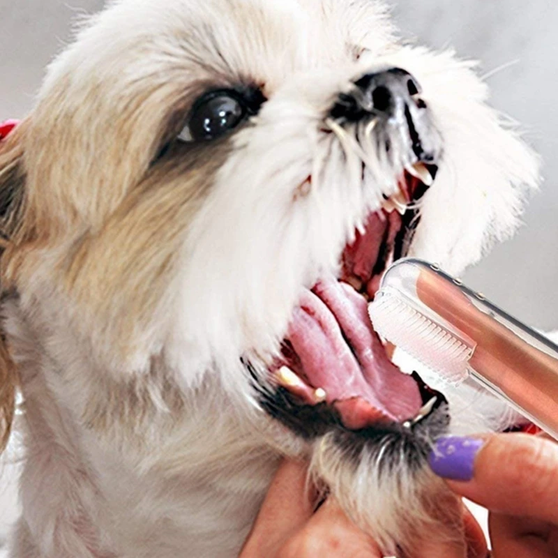 Pet Toothbrush, Dental Care, Cleaning Finger Brush, Transparent Silicone Sleeve Brush, Suitable for Small Dogs, Kittens and Pets
Pet Toothbrush, Dental Care, Cleaning Finger Brush, Transparent Silicone Sleeve Brush, Suitable for Small Dogs, Kittens and Pets