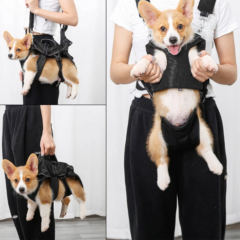 3 in 1 Multi Functional Pet Carrier Backpack Front Facing Legs Out Dog Carrier M68C 
3 in 1 Multi Functional Pet Carrier Backpack Front Facing Legs Out Dog Carrier M68C