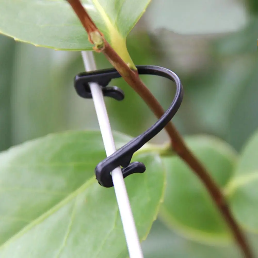 50pcs Vines Fastener Tied Buckle Hook Plant Vegetable Grafting Clips Agricultural Greenhouse Supplies Gardening Rope
50pcs Vines Fastener Tied Buckle Hook Plant Vegetable Grafting Clips Agricultural Greenhouse Supplies Gardening Rope