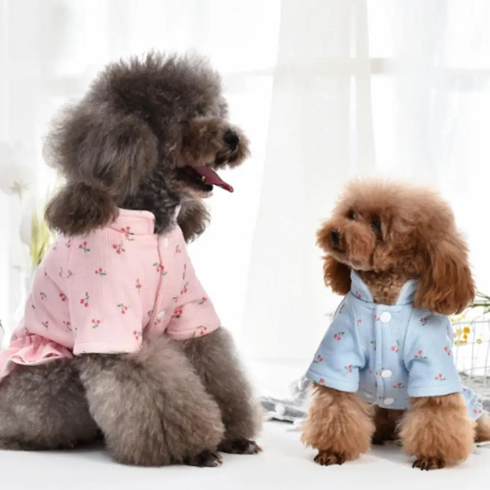 Two-leg Lovely Puppy Thickened Dress Outfit Fine Workmanship Pet Dress Cherry Pattern for Winter
Two-leg Lovely Puppy Thickened Dress Outfit Fine Workmanship Pet Dress Cherry Pattern for Winter
