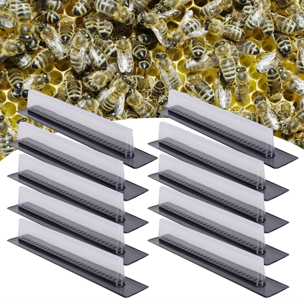 10Pcs Bee Hive Beetle Trap Broodlings Cleaning Agriculture Tools Beekeeping Pest ControlBee Broodlings Trap
10Pcs Bee Hive Beetle Trap Broodlings Cleaning Agriculture Tools Beekeeping Pest ControlBee Broodlings Trap