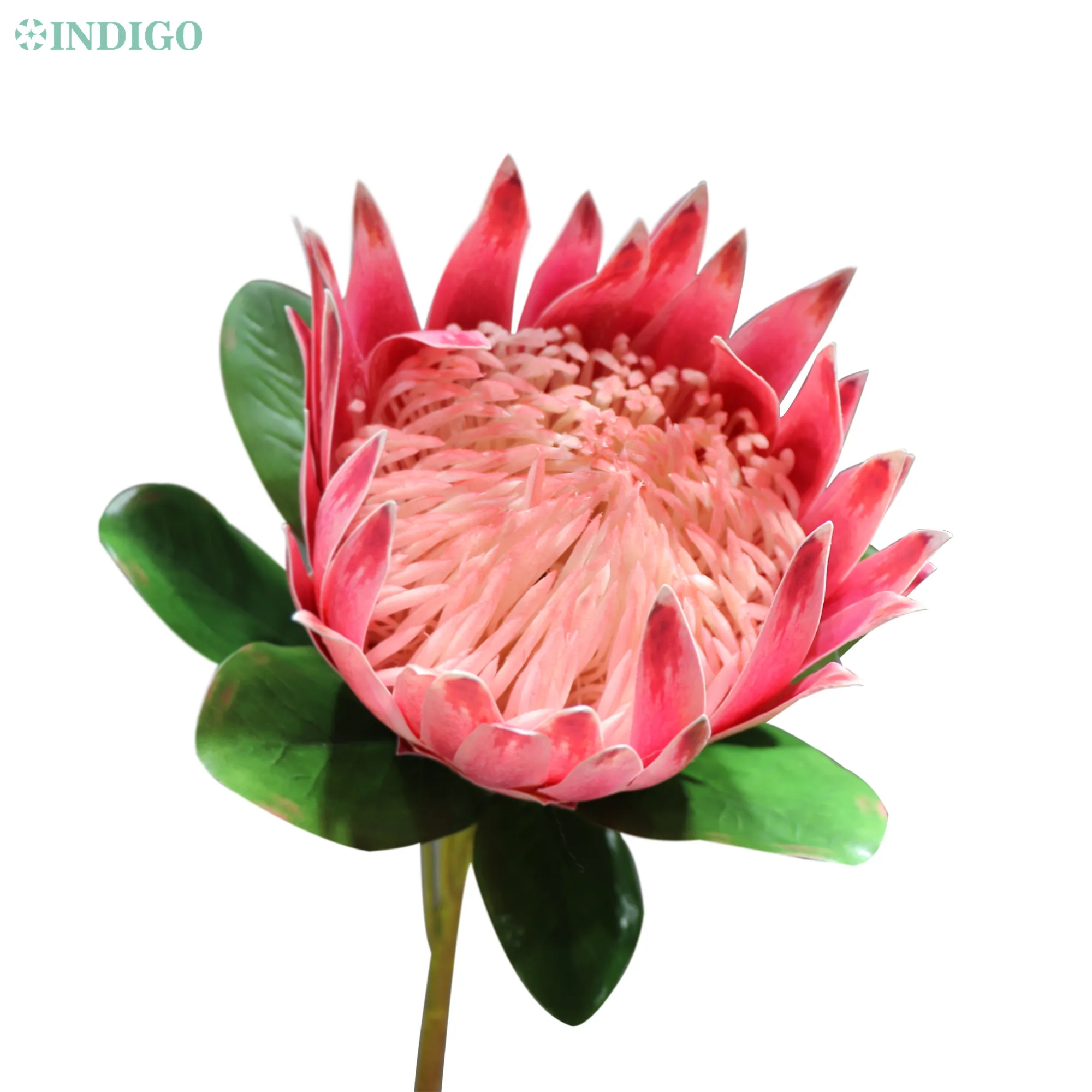 INDIGO -Pink Protea Cynaroides Large Size Real Touch Artificial Flower Wedding Party Event Shopwindow Christmas Decoration Gift
INDIGO -Pink Protea Cynaroides Large Size Real Touch Artificial Flower Wedding Party Event Shopwindow Christmas Decoration Gift