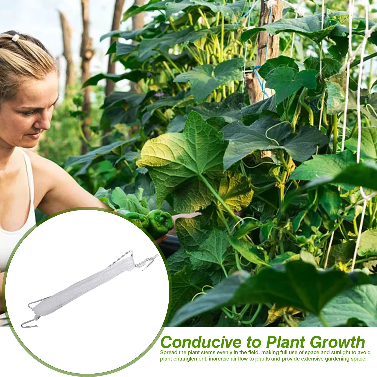 10pcs Plant Support Hook Clamps Tomato Fruit Vegetable Support Hooks Garden Flowers Plants Vines Support Tool Support Frame 
10pcs Plant Support Hook Clamps Tomato Fruit Vegetable Support Hooks Garden Flowers Plants Vines Support Tool Support Frame