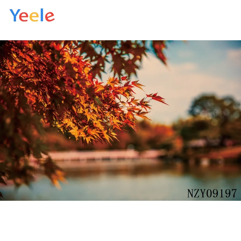 Фоны для детской фотосъемки с изображением природного пейзажа кленового листа
Фоны для детской фотосъемки с изображением природного пейзажа кленового листа