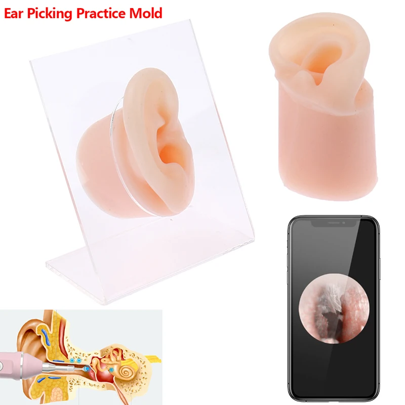1 Pcs Ear Piercing Model Display Visual Ear Acquisition Ear Canal Model Teaching Tool Piercing Tools Can Be Reused Body Jewelry
1 Pcs Ear Piercing Model Display Visual Ear Acquisition Ear Canal Model Teaching Tool Piercing Tools Can Be Reused Body Jewelry