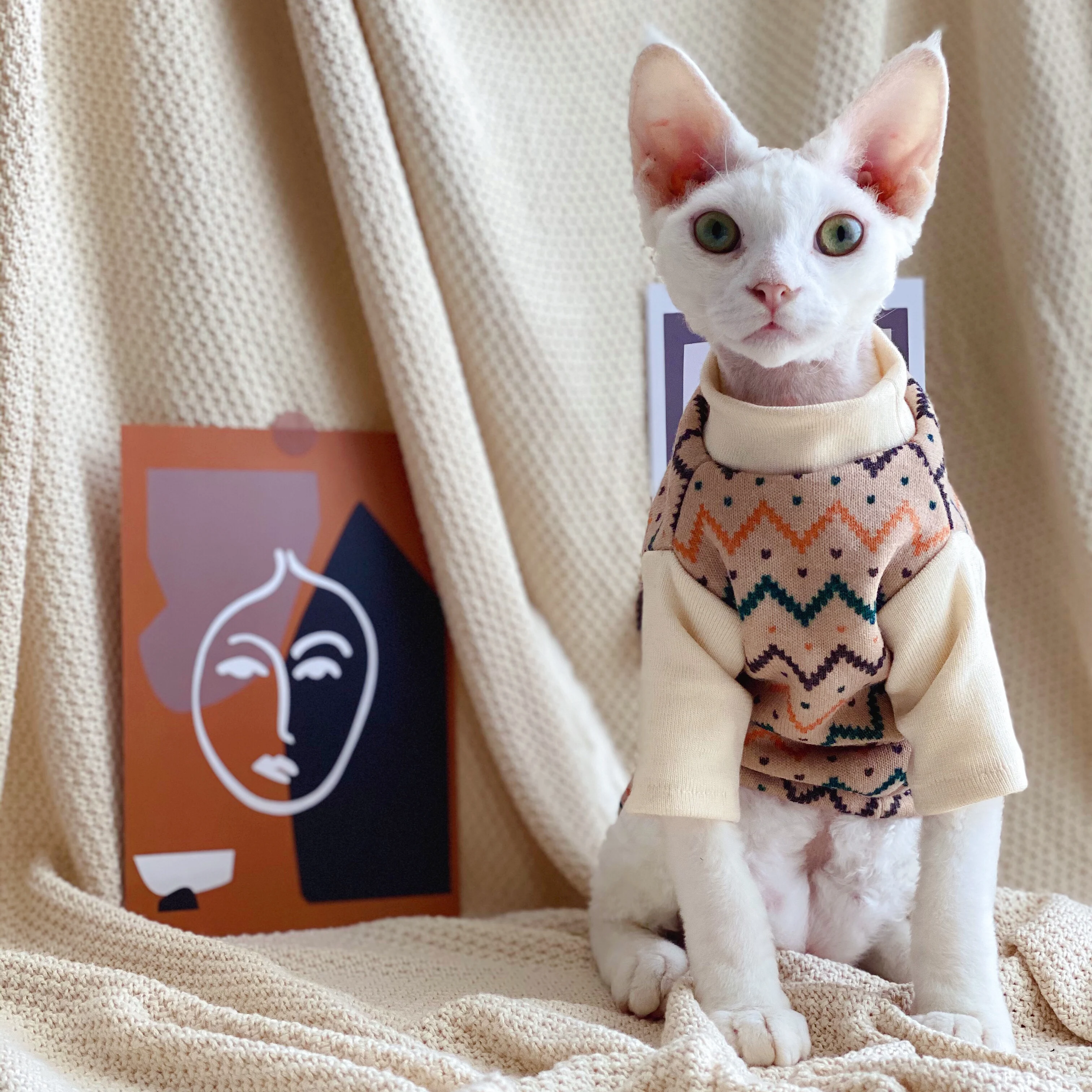 Hairless Cat Clothes Sphinx Devon KONIS Short Legged Pet Sweater Winter Plush Coat Pet Dog Cat Clothing Clothing for Cats
Hairless Cat Clothes Sphinx Devon KONIS Short Legged Pet Sweater Winter Plush Coat Pet Dog Cat Clothing Clothing for Cats