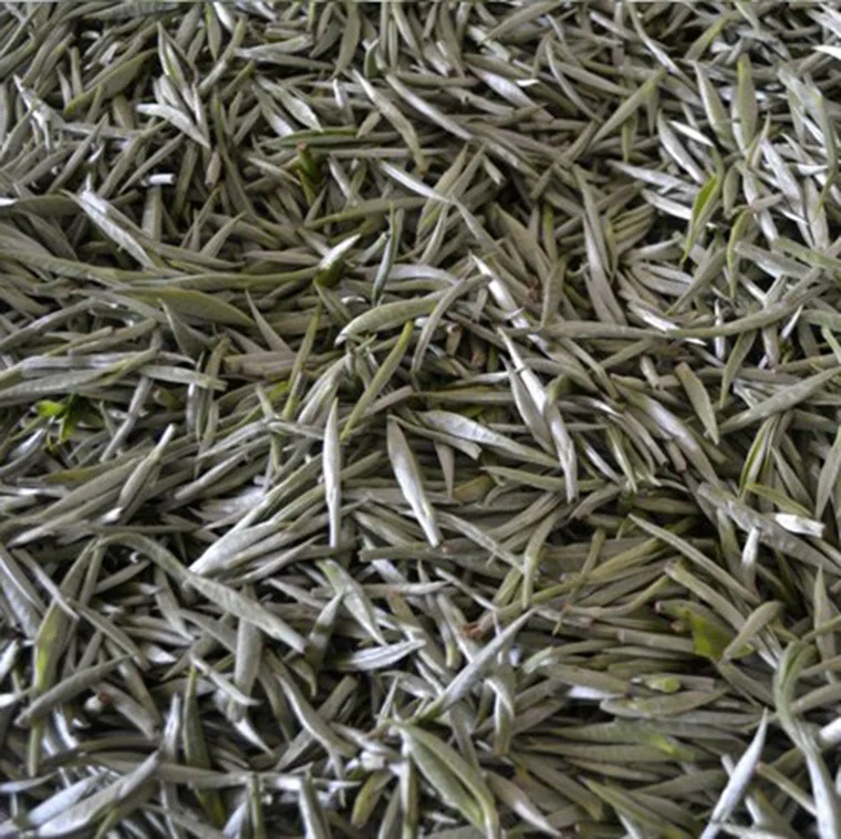 Yunnan touchun moonlight white Pu'er Tea raw Tea White-Tea bulk big white Hao single bud silver needle 250g500g
Yunnan touchun moonlight white Pu'er Tea raw Tea White-Tea bulk big white Hao single bud silver needle 250g500g