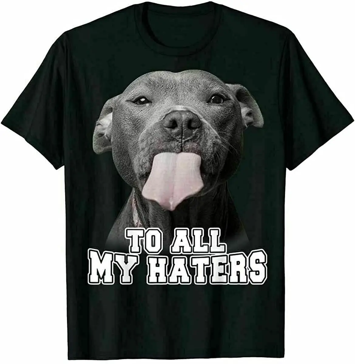 Funny Dog To All My Haters Pitbull Dog Unisex T Shirt Dog Lover Birthday Party
Funny Dog To All My Haters Pitbull Dog Unisex T Shirt Dog Lover Birthday Party