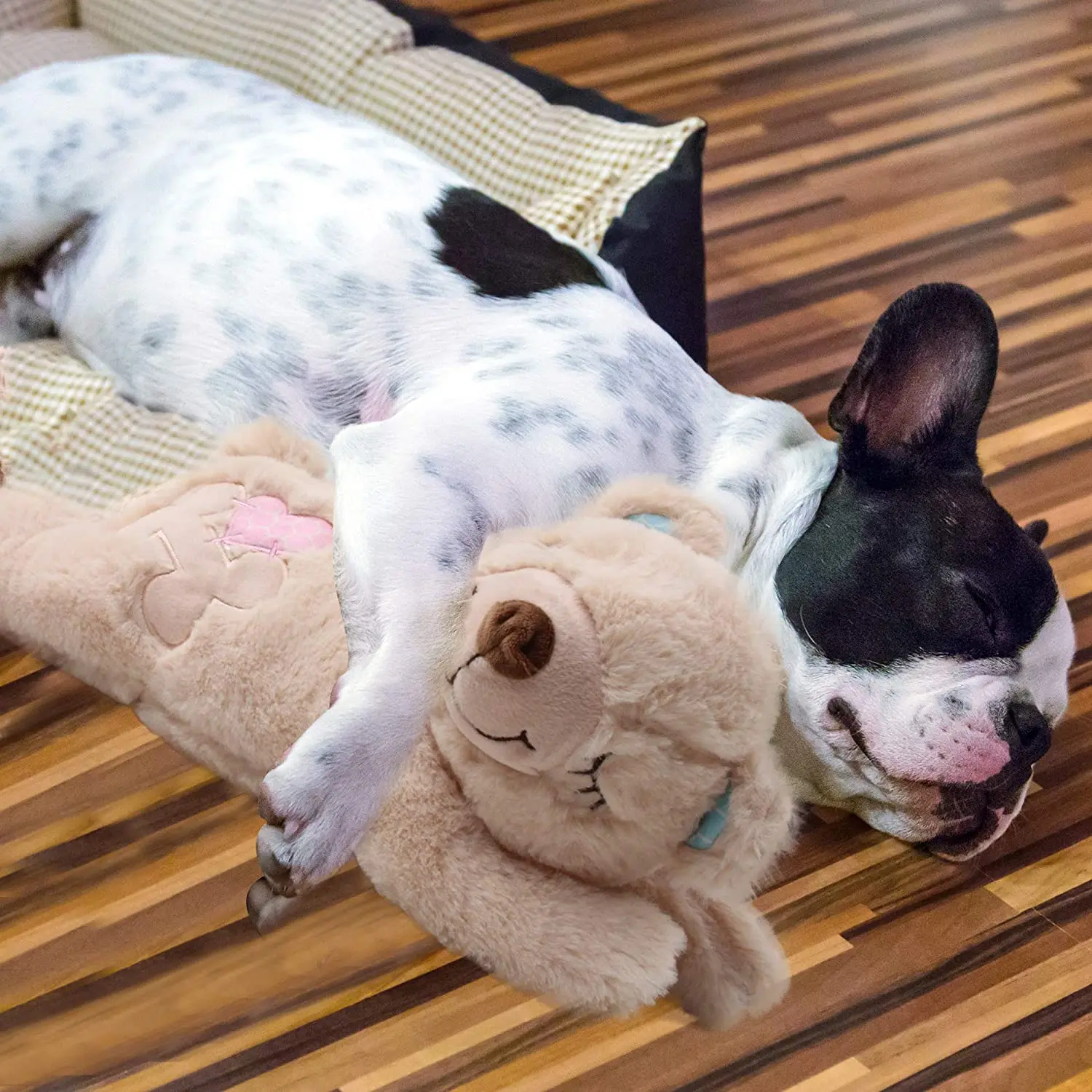 All for Paws Puppy Plush Toy Snuggle Sleep Pet Behavioral Bear with Warmer Pack Dog Anxiety Relief
All for Paws Puppy Plush Toy Snuggle Sleep Pet Behavioral Bear with Warmer Pack Dog Anxiety Relief