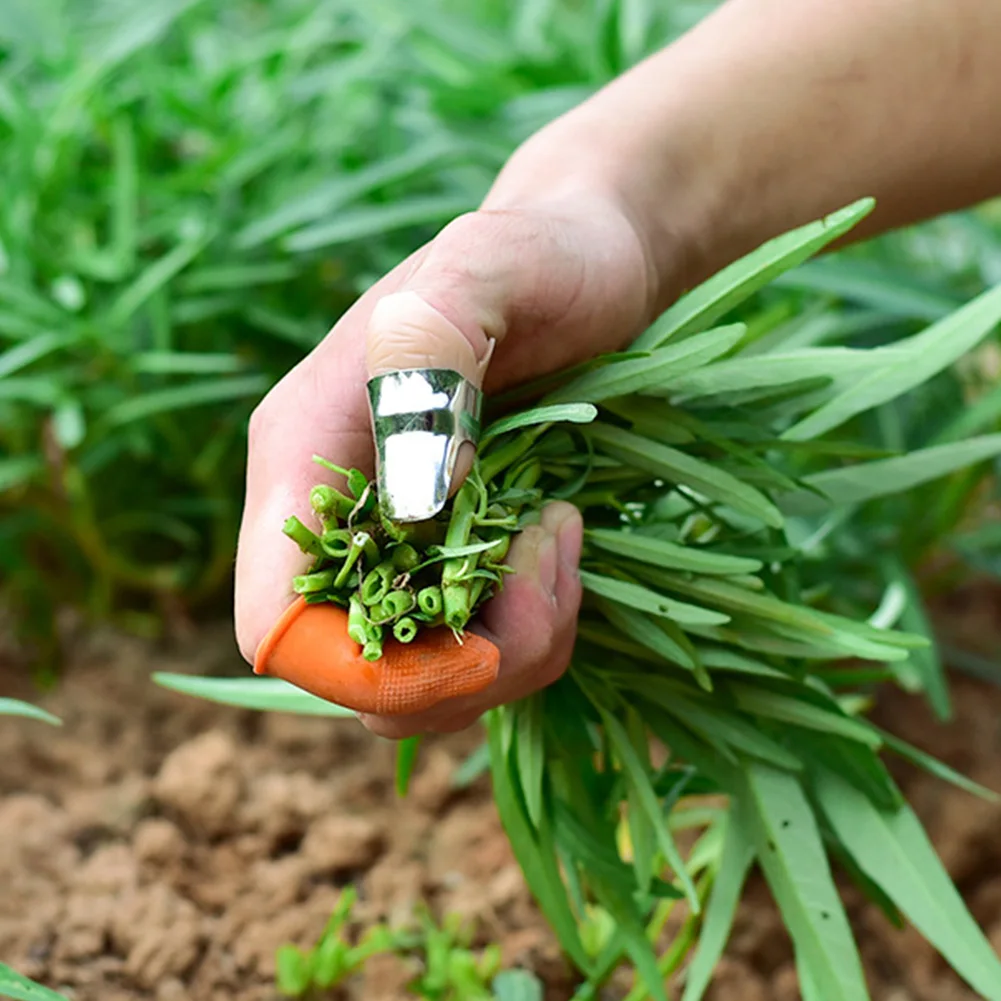 Tools Thumb Cutter Harvesting Plant Protective Pruning Garden Index Finger Cover Picking Agricultural Stainless Steel Vegetable 
Tools Thumb Cutter Harvesting Plant Protective Pruning Garden Index Finger Cover Picking Agricultural Stainless Steel Vegetable