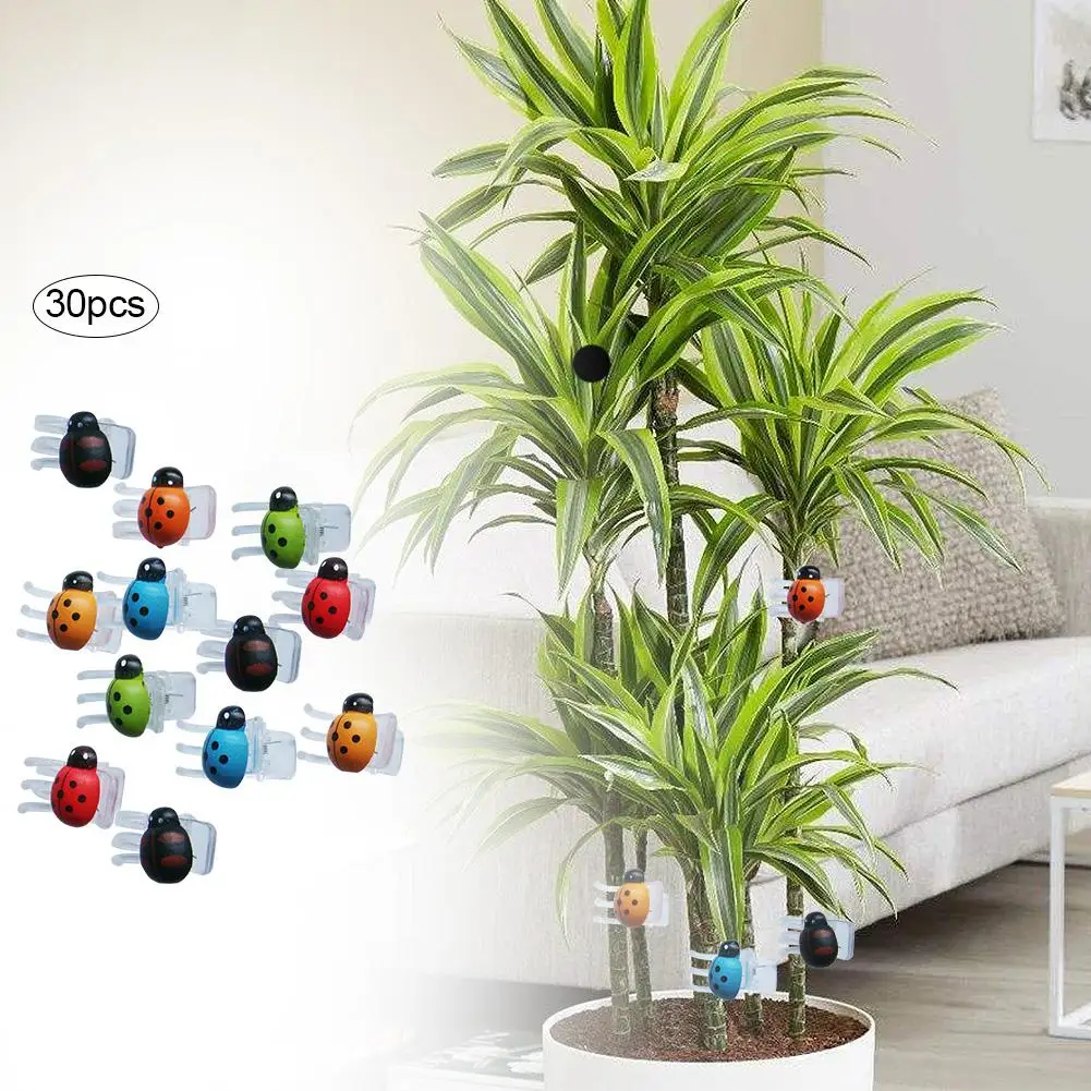 30PCS Plant Clips Flower Stem Vine Clamp Garden Plant Grafting Clamp Garden Support Clips For Home Garden Plants Flower Stems
30PCS Plant Clips Flower Stem Vine Clamp Garden Plant Grafting Clamp Garden Support Clips For Home Garden Plants Flower Stems