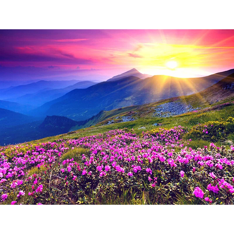 New Generation DIY 5D Diamond Embroidery Landscape Sunrise and Purple Flower Pattern Painting Rhinestones Diamond Mosaic Kits
New Generation DIY 5D Diamond Embroidery Landscape Sunrise and Purple Flower Pattern Painting Rhinestones Diamond Mosaic Kits