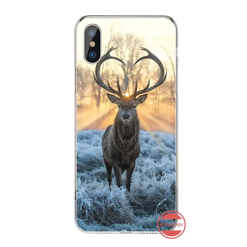 Stag Bull Moose Reindeer Deer animal luxury Phone Case funda For iphone 12 5 5s 5c se 6 6s 7 8 plus x xs xr 11 pro max
Stag Bull Moose Reindeer Deer animal luxury Phone Case funda For iphone 12 5 5s 5c se 6 6s 7 8 plus x xs xr 11 pro max