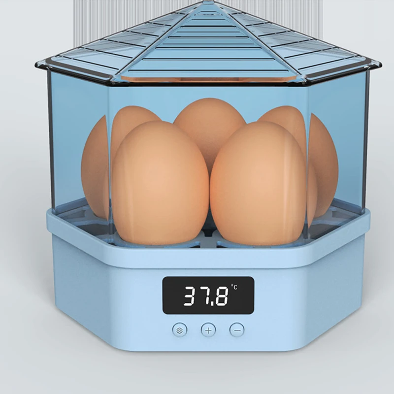 Digital Temperature Small Brooder 4 Mini Hatchery Egg Incubator Poultry Automatic Hatcher for Chicken Duck Bird Pigeon Quail
Digital Temperature Small Brooder 4 Mini Hatchery Egg Incubator Poultry Automatic Hatcher for Chicken Duck Bird Pigeon Quail