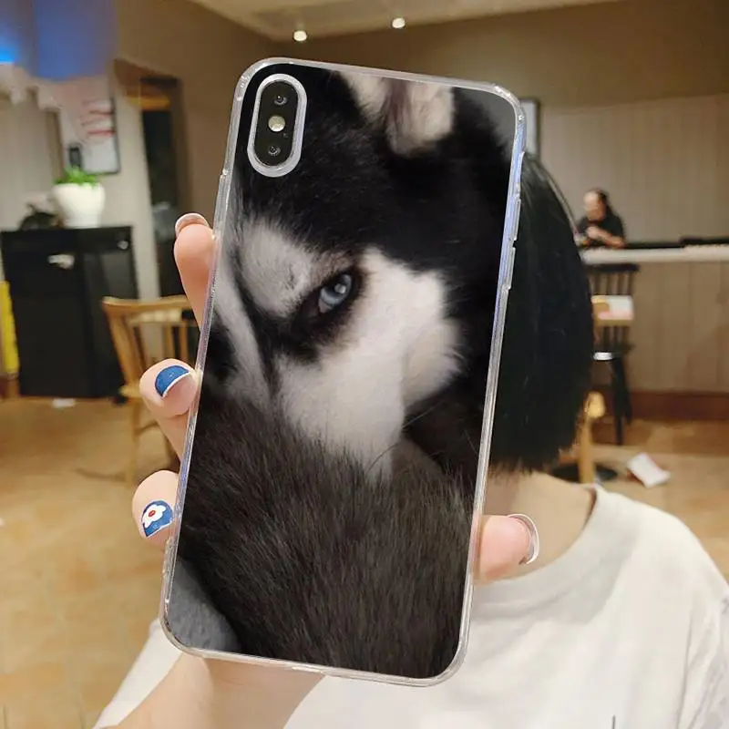 Cute animal dog husky Phone Case Transparent for iPhone 6 7 8 11 12 s mini pro X XS XR MAX Plus
Cute animal dog husky Phone Case Transparent for iPhone 6 7 8 11 12 s mini pro X XS XR MAX Plus