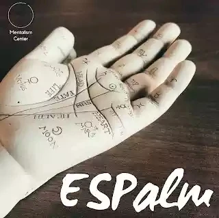 ESPalm by Pablo Amira,Magic Tricks