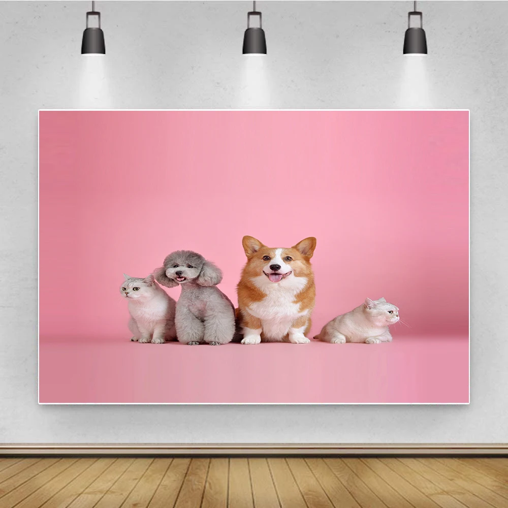 Фоны 3D Животные тонкий Виниловый фон для фотосъемки Дети вечевечерние модный фон украшение
Фоны 3D Животные тонкий Виниловый фон для фотосъемки Дети вечевечерние модный фон украшение