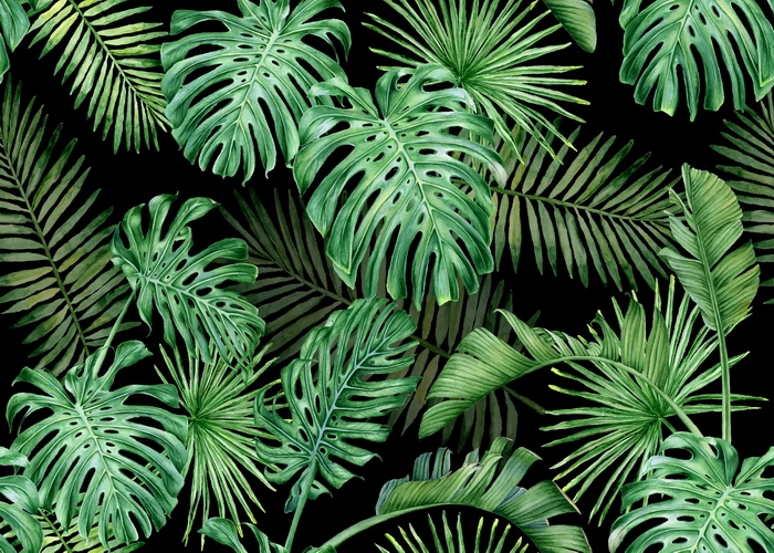 Jungle Green Leaves Photography Backdrop Tropical Safari Plants Photo Background Baby Shower birthday Decor Studio Shooting
Jungle Green Leaves Photography Backdrop Tropical Safari Plants Photo Background Baby Shower birthday Decor Studio Shooting