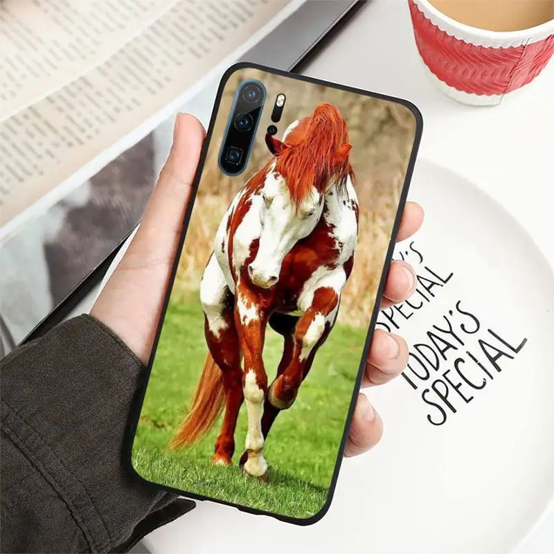 Horse Series Phone Case For Huawei P40 P20 P30 lite Pro P Smart 2019 Mate 40 20 10 Lite Pro Nova 5t 
Horse Series Phone Case For Huawei P40 P20 P30 lite Pro P Smart 2019 Mate 40 20 10 Lite Pro Nova 5t