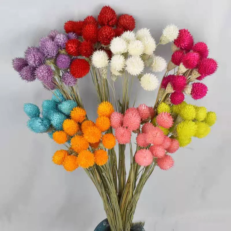 10 Heads/lot dried flowers strawberry Fruit Flowers For Wedding Home Decoration Table Accessories DIY
10 Heads/lot dried flowers strawberry Fruit Flowers For Wedding Home Decoration Table Accessories DIY