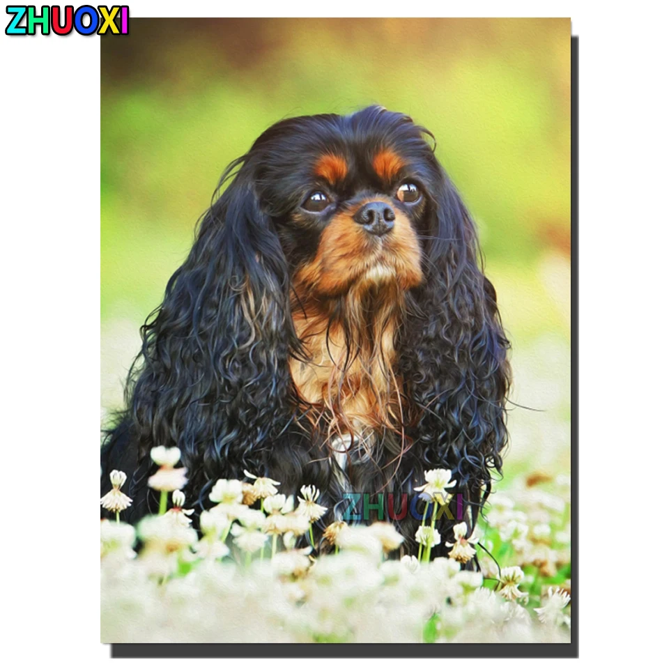 Diamond Painting Cavalier King Charles Spaniel White daisies diamond embroidery Christmas Gift For Kids Home Decor Diy Painting
Diamond Painting Cavalier King Charles Spaniel White daisies diamond embroidery Christmas Gift For Kids Home Decor Diy Painting