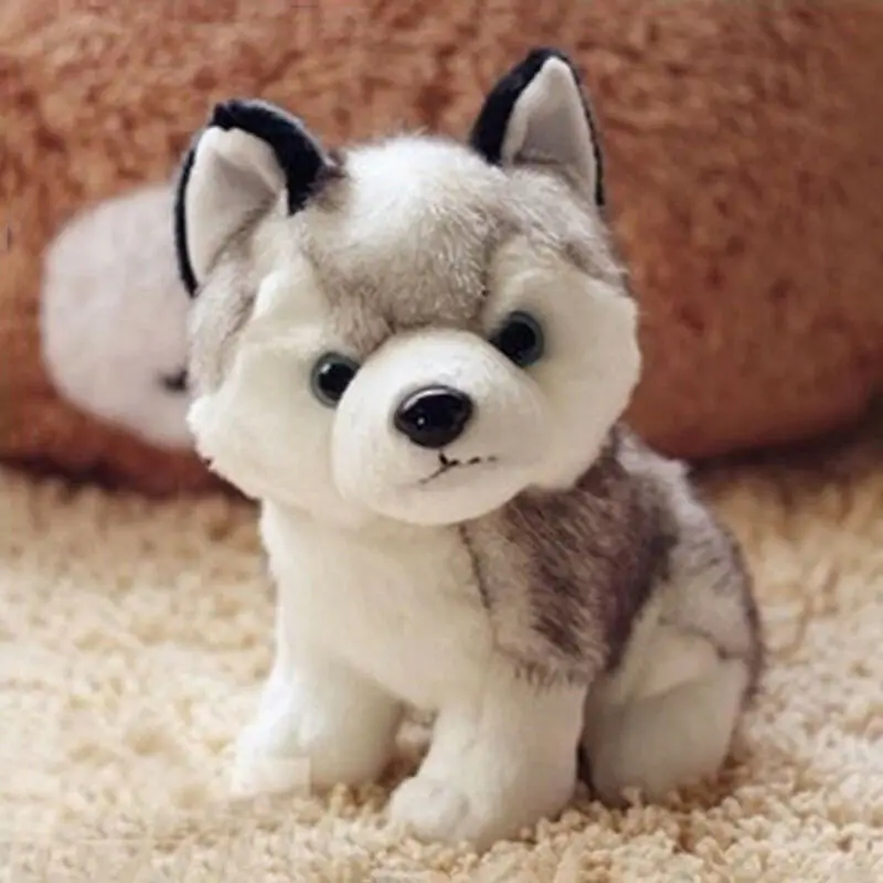 Husky Dog Squirrel Hedgehog Stuffed Plush Toy The Kawaii Simulation Husky Dog Plush Toy Birthday Gift Baby Kids Stuffed Toy
Husky Dog Squirrel Hedgehog Stuffed Plush Toy The Kawaii Simulation Husky Dog Plush Toy Birthday Gift Baby Kids Stuffed Toy