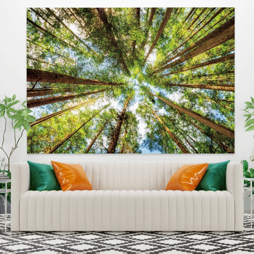 Laeacco Tapestry 3D Art Wall-Hanging Tree Scenery Beach-Mat Camping-Tent Sleeping-Pad Home-Decor Textile
Laeacco Tapestry 3D Art Wall-Hanging Tree Scenery Beach-Mat Camping-Tent Sleeping-Pad Home-Decor Textile