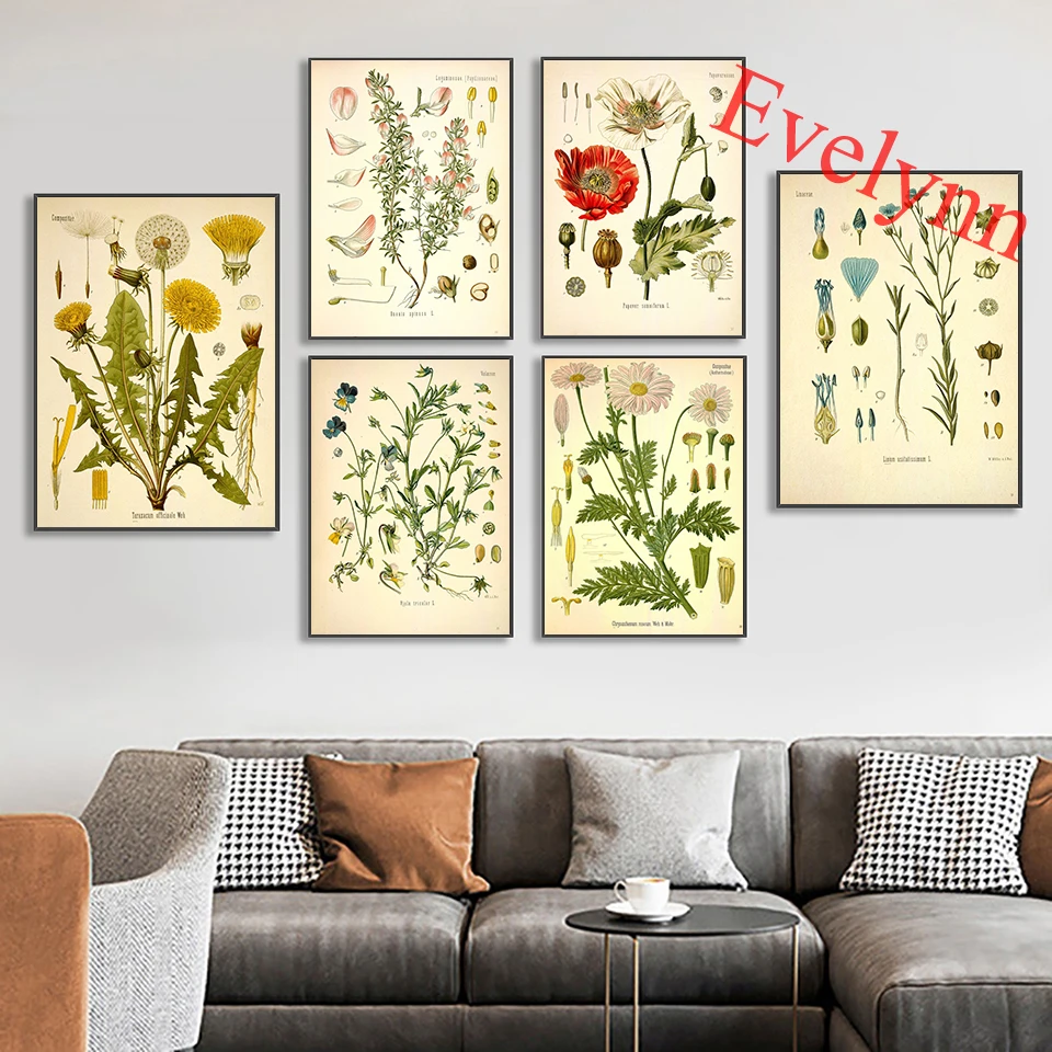 Botanical Prints Wildflower,Floral Wall Art Canvas Painting,Vintage Garden Poster,Floral Art, Victorian Garden Print Home Decor
Botanical Prints Wildflower,Floral Wall Art Canvas Painting,Vintage Garden Poster,Floral Art, Victorian Garden Print Home Decor