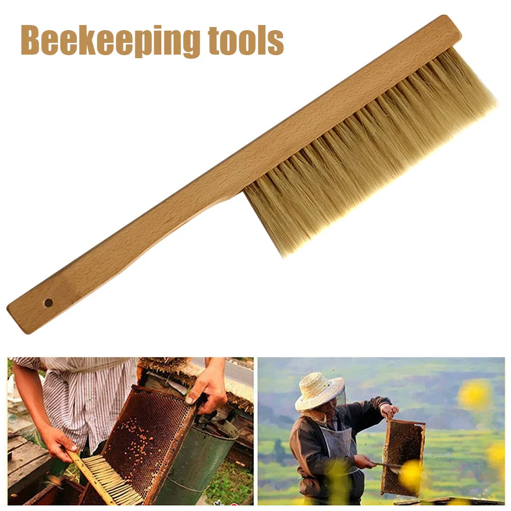 Benefitbee Beekeeping Tools Wood Bee Sweep Brush Two Rows Horsetail Hair New Bee Brushes Beekeeping Equipment for Apiculture-30
Benefitbee Beekeeping Tools Wood Bee Sweep Brush Two Rows Horsetail Hair New Bee Brushes Beekeeping Equipment for Apiculture-30