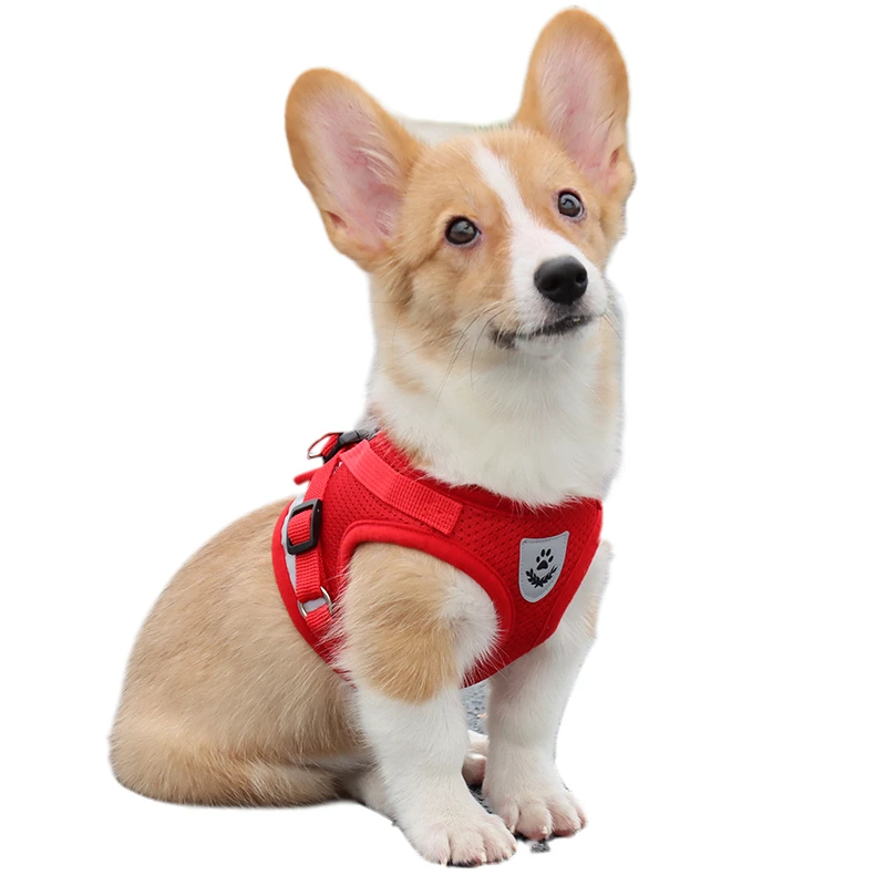 Dog Chest Strap Burden Reduction Strong Adhesive Burrs Anti-Fall OFF Double Safety Alloy Fasteners Small Medium PETS Suitabale
Dog Chest Strap Burden Reduction Strong Adhesive Burrs Anti-Fall OFF Double Safety Alloy Fasteners Small Medium PETS Suitabale