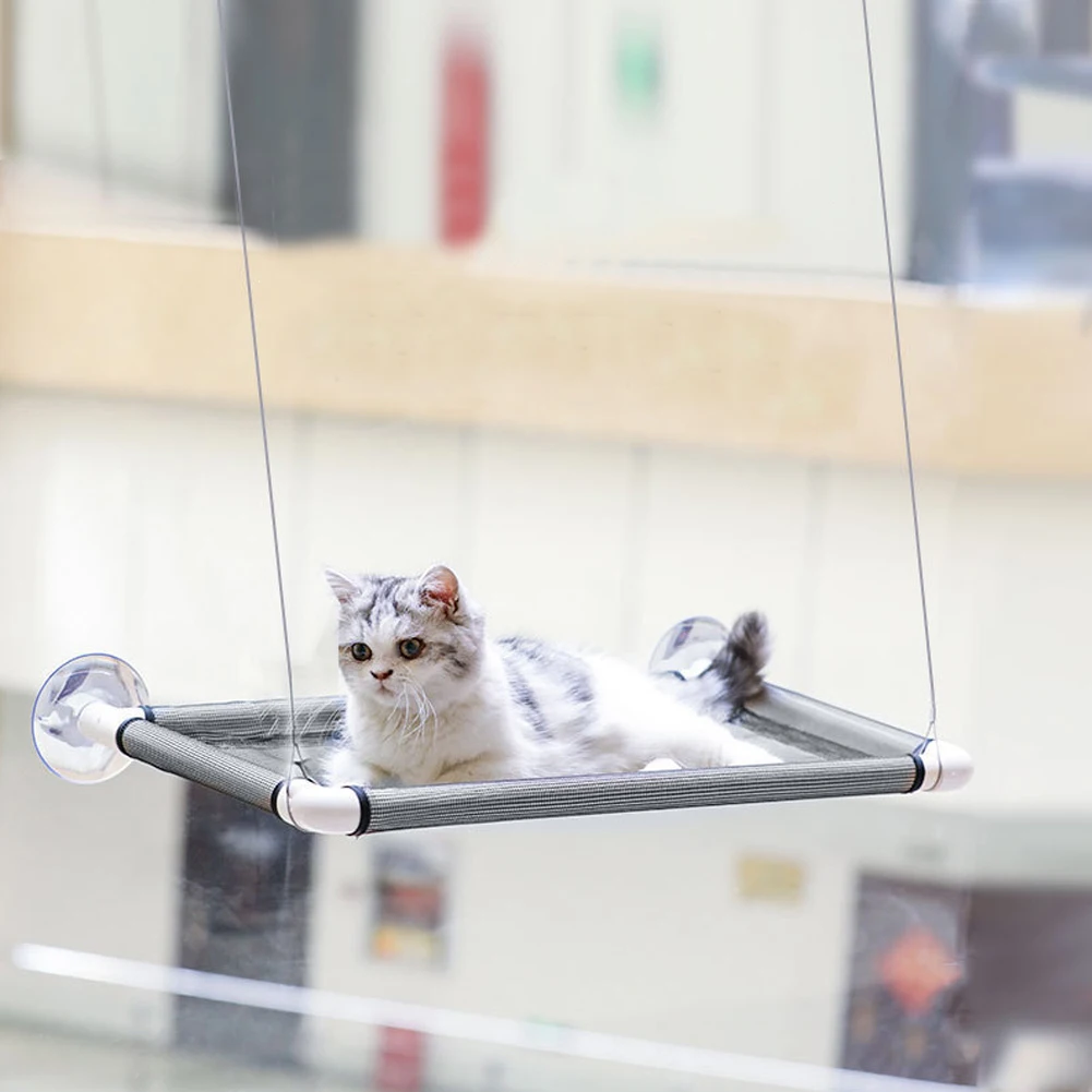 Washable Cat Bed Pet Window Perch Double Layers Cat Hammock Resting Seat Pet Hanging Shelf Resting Seat With Suction Cat Bed
Washable Cat Bed Pet Window Perch Double Layers Cat Hammock Resting Seat Pet Hanging Shelf Resting Seat With Suction Cat Bed