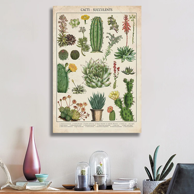 Scandinavian Canvas Painting Modern Plant Flower Cacti Succulents Poster and Print Wall Art Picture for Living Room Decor Cuadro
Scandinavian Canvas Painting Modern Plant Flower Cacti Succulents Poster and Print Wall Art Picture for Living Room Decor Cuadro