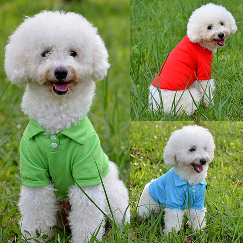 New Candy Solid Color Puppy Dog T shirt Fashion Pet Dog Clothes Warm Shirt Costume Coat Outfit Pet Clothes Cotton Costume
New Candy Solid Color Puppy Dog T shirt Fashion Pet Dog Clothes Warm Shirt Costume Coat Outfit Pet Clothes Cotton Costume