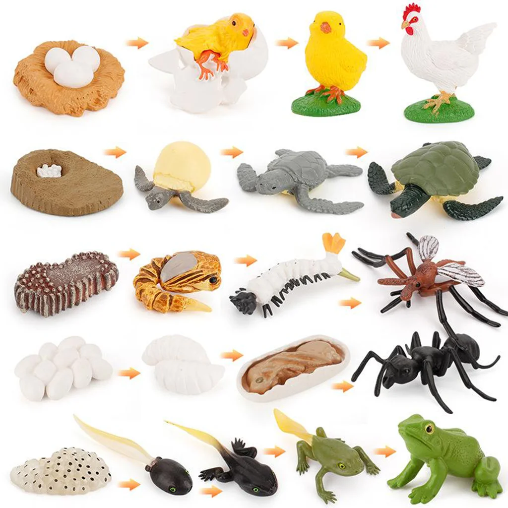 Insect Growth Diary Simulation Sea Turtle//Frog Life Cycle Figures Kids Early Learning & Educational Toys
Insect Growth Diary Simulation Sea Turtle//Frog Life Cycle Figures Kids Early Learning & Educational Toys