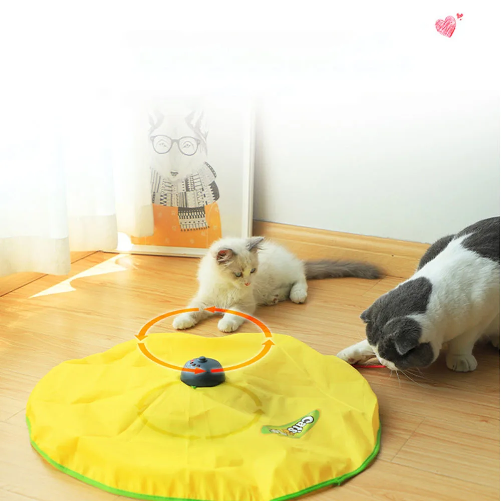 Electric Toy Cat 4 Speed Pet Cat Plastic Turntable Interactive Intelligence Crazy Amusement Game Rotation Cat Toys
Electric Toy Cat 4 Speed Pet Cat Plastic Turntable Interactive Intelligence Crazy Amusement Game Rotation Cat Toys