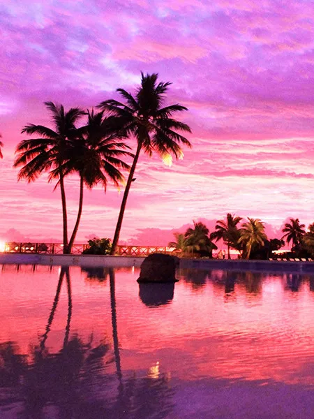 Diamond Painting Scenery Coconut tree Landscape 5d Diy Mosaic Full Square Drill Diamant Of Rhinestone Daimond Embroidery Picture
Diamond Painting Scenery Coconut tree Landscape 5d Diy Mosaic Full Square Drill Diamant Of Rhinestone Daimond Embroidery Picture