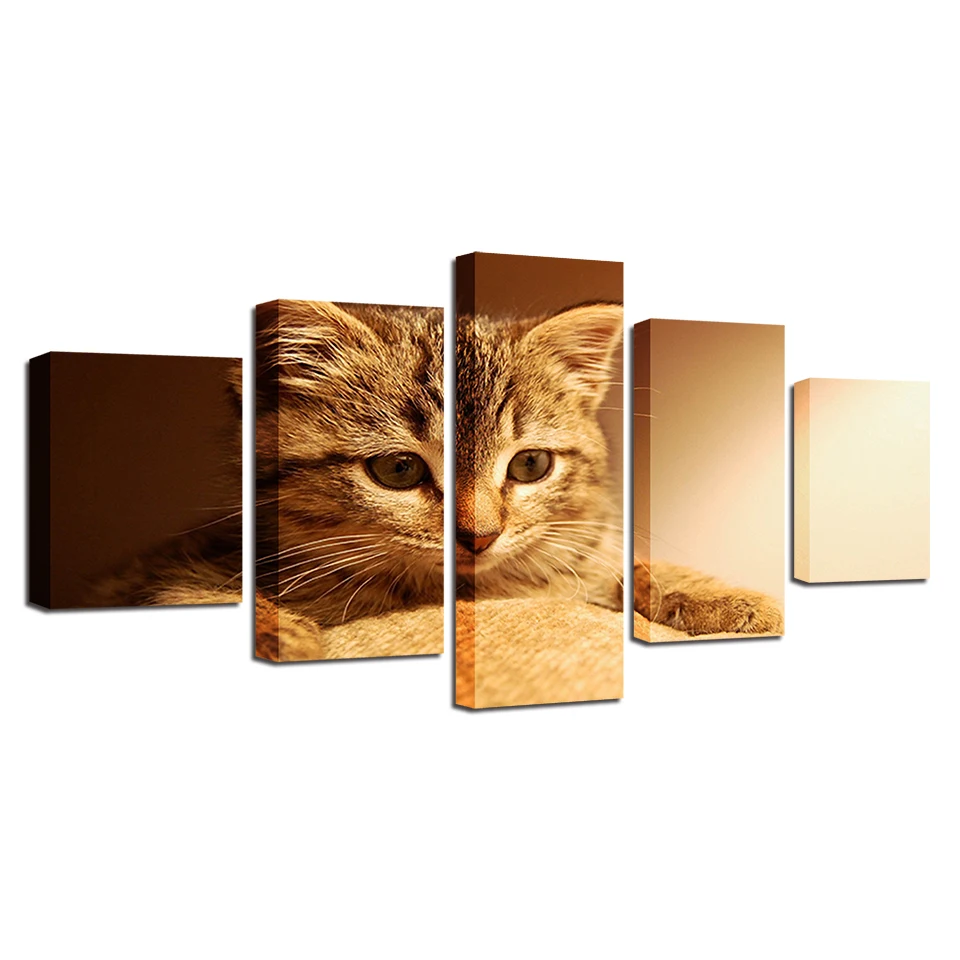 HD Printing Animals Canvas Pictures 5 Pieces Lovely Cats Modular Paintings Framework Decor Home Living Room Or Bedroom Wall Art 
HD Printing Animals Canvas Pictures 5 Pieces Lovely Cats Modular Paintings Framework Decor Home Living Room Or Bedroom Wall Art
