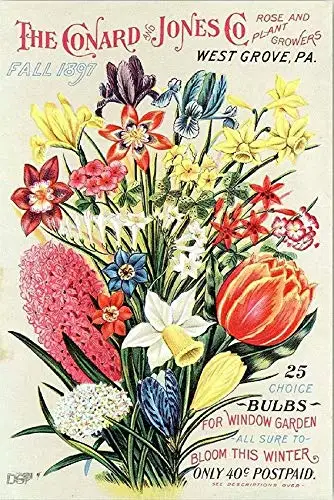 Vintage Farm Plant and Seed Guide Vegetable Retro Metal Tin Sign 8x12 Inch Home Wall Decoration Sign 
Vintage Farm Plant and Seed Guide Vegetable Retro Metal Tin Sign 8x12 Inch Home Wall Decoration Sign