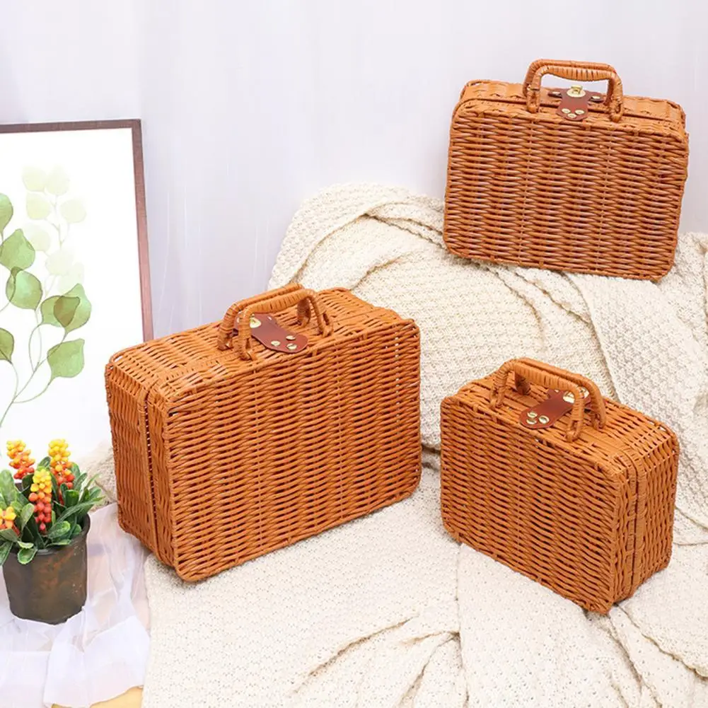 Delicate Lightweight Picnic Camping Woven Luggage Basket for School
Delicate Lightweight Picnic Camping Woven Luggage Basket for School