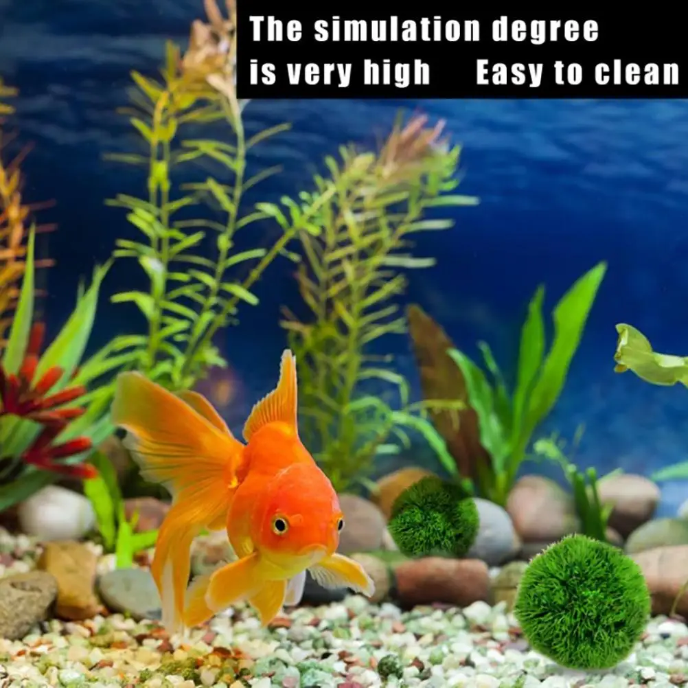 4Pcs Green Seaweed Ball Artificial Water Weeds Ornament Plant for Fish Tank Aquarium Decoration
4Pcs Green Seaweed Ball Artificial Water Weeds Ornament Plant for Fish Tank Aquarium Decoration