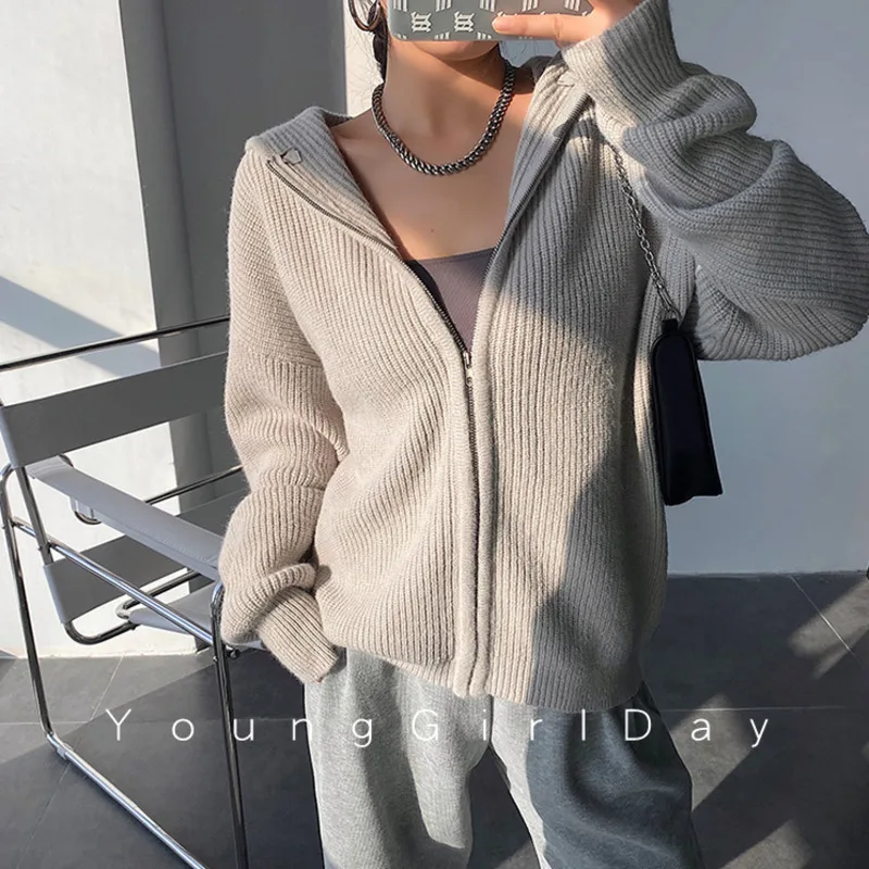 TVVOVVIN Winter Streetwear Long Sleeve Loose Hooded Sweater Women European Casual Large Size Knitting Zipper Cardigan NKYP
TVVOVVIN Winter Streetwear Long Sleeve Loose Hooded Sweater Women European Casual Large Size Knitting Zipper Cardigan NKYP