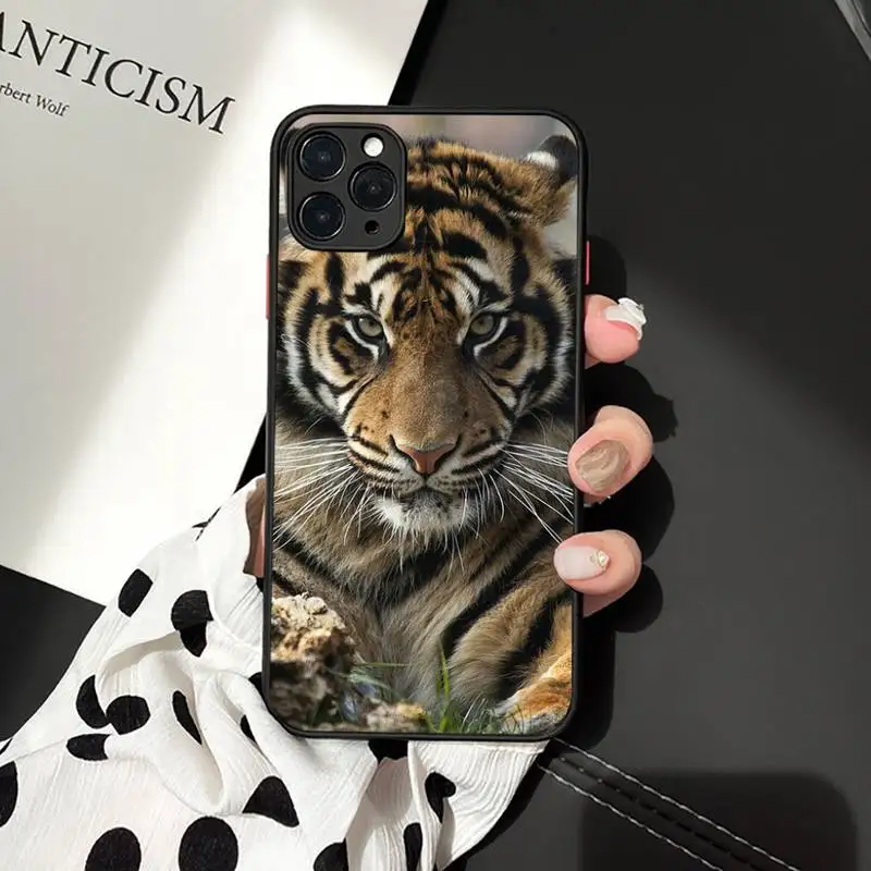 Fashion Tiger Leopard Phone Case For iphone 12 11 7 8 plus mini x xs xr pro max matte transparent cover
Fashion Tiger Leopard Phone Case For iphone 12 11 7 8 plus mini x xs xr pro max matte transparent cover