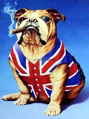 Destiny'S Bulldog Union Jack British Retro Vintage bar Pub Man cave Aluminum Decorative Signs
Destiny'S Bulldog Union Jack British Retro Vintage bar Pub Man cave Aluminum Decorative Signs