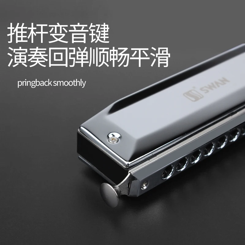 Chromatic Scale Harmonica Musical Instrument 12holes Metal Harmonica Children Accessories Strumento Musica Woodwind Instruments
Chromatic Scale Harmonica Musical Instrument 12holes Metal Harmonica Children Accessories Strumento Musica Woodwind Instruments